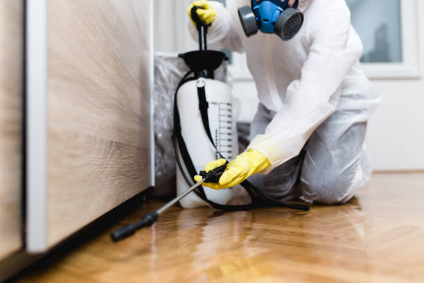  Coleman, MI Pest Control Pros