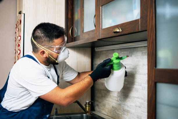 Best Affordable Pest Control Services  in Coleman, MI