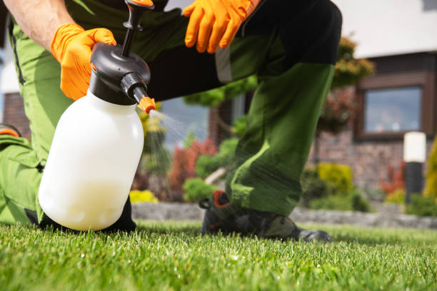 Best Termite Control Services  in Coleman, MI