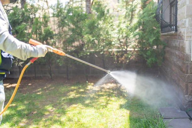 Best Pest Prevention Services  in Coleman, MI