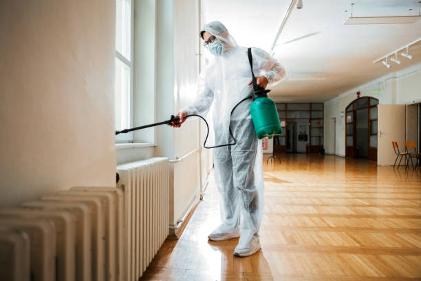 Best Mosquito Control Services  in Coleman, MI